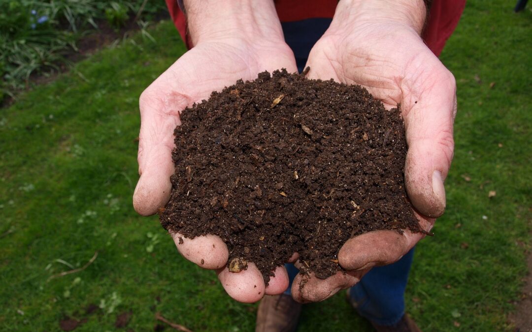 5 Tips for Properly Composting Soil When Landscaping