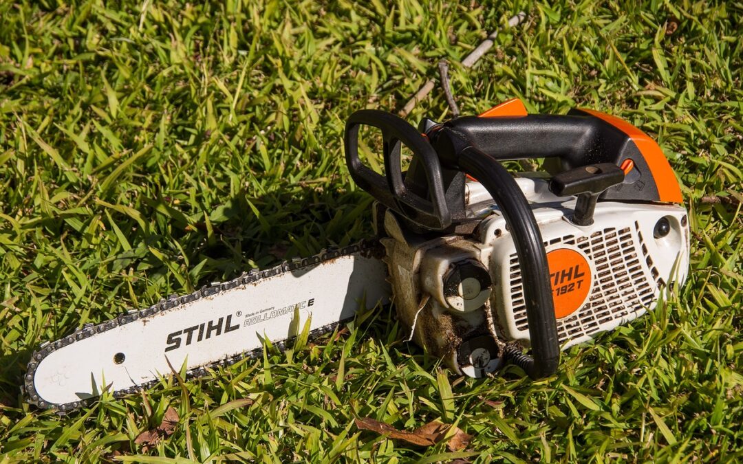 4 Types of Lawn Equipment Every Homeowner Should Have