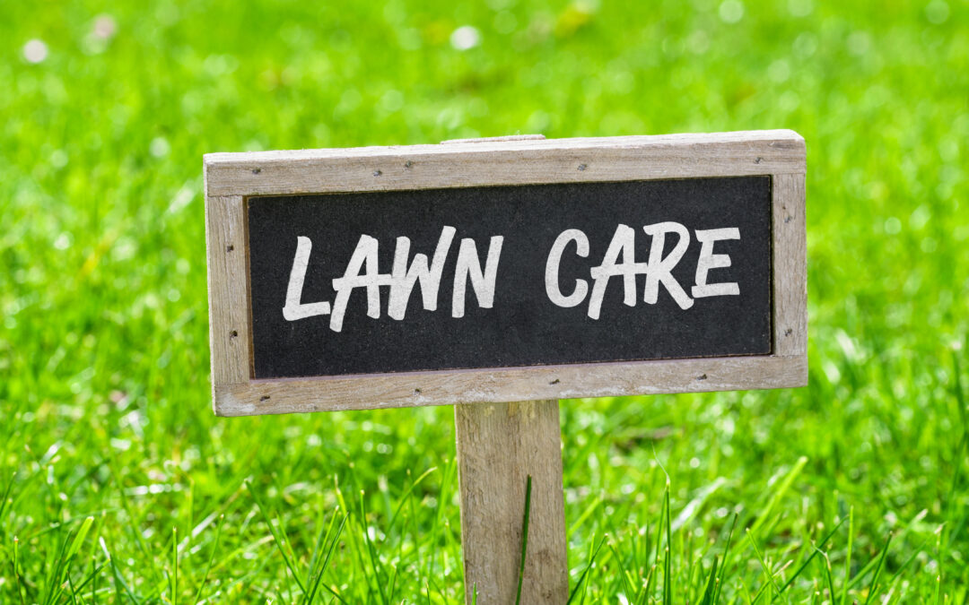 How To Have a Healthy Lawn (Without Much Effort)
