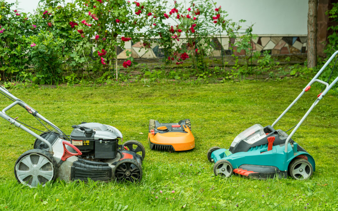 Best Lawn Mowers for Different Types of Lawns
