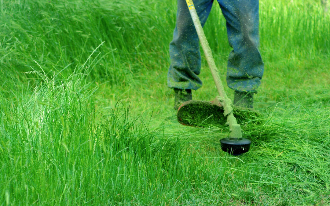 Weed Eater Repair and Maintenance Checklist