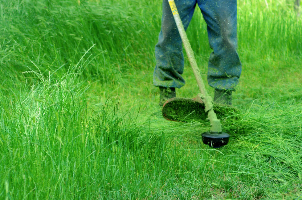 Weed Eater Repair and Maintenance Checklist