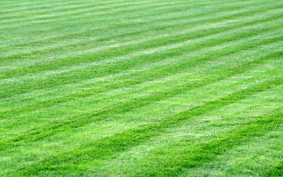 Lawn Striping Tips With a Push Mower